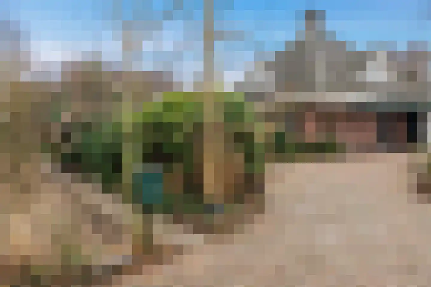 Leeuwarderstraatweg 239 Nieuwebrug thumbnail 5