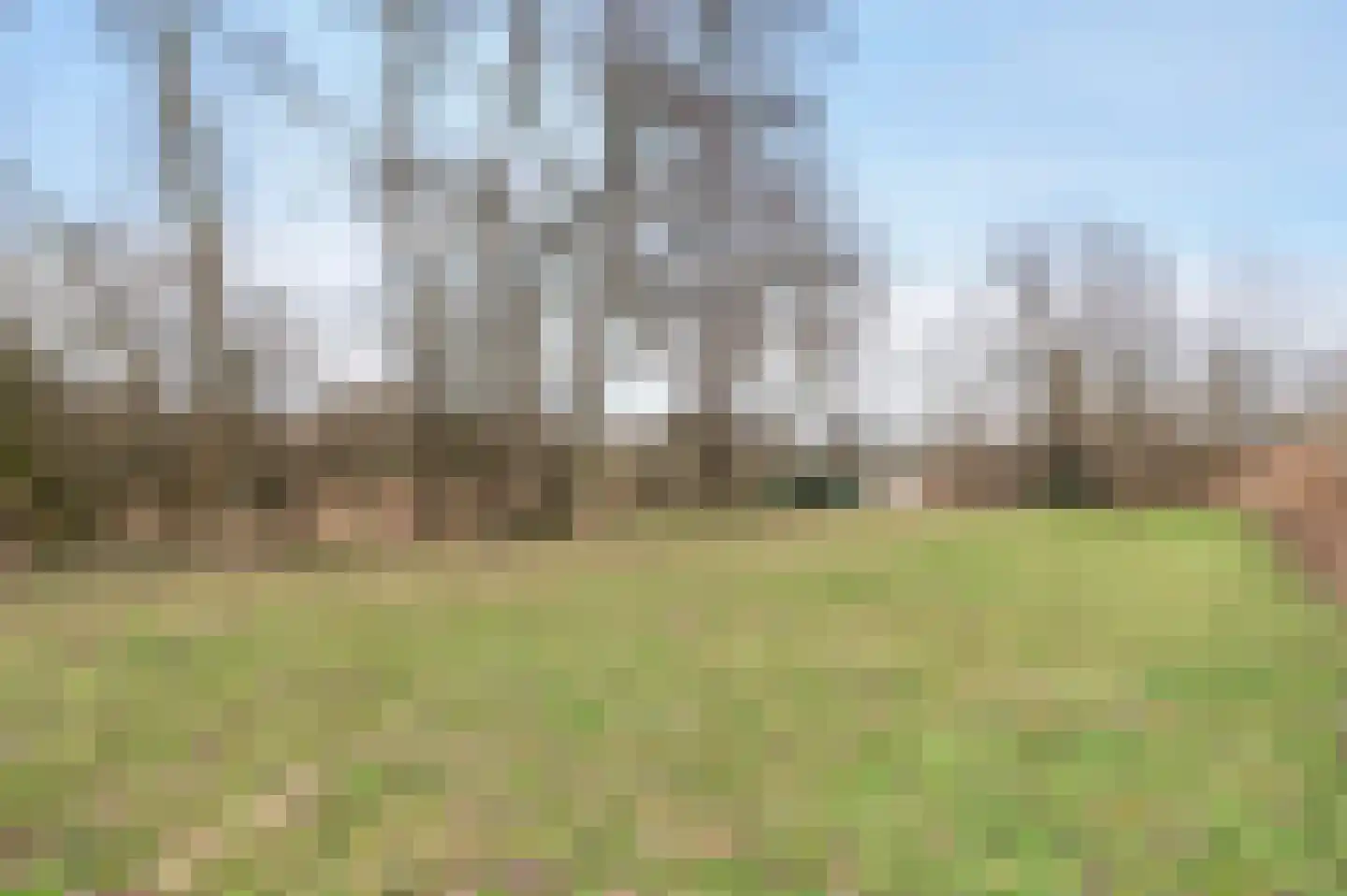 Leeuwarderstraatweg 239 Nieuwebrug thumbnail 51