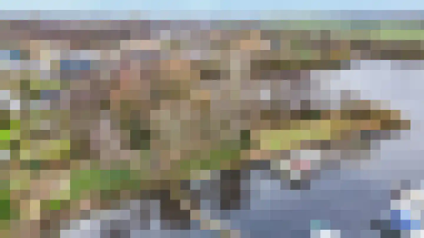 Leeuwarderstraatweg 239 Nieuwebrug thumbnail 61