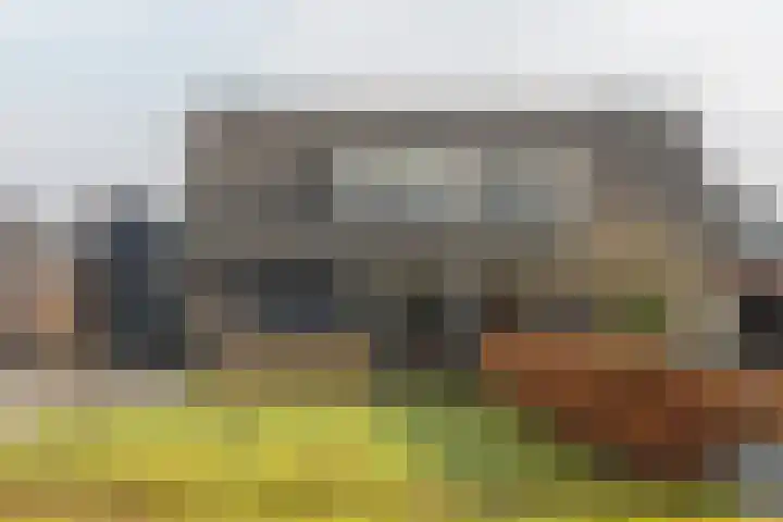 Leeuwarderstraatweg 256 Nieuwebrug thumbnail 33