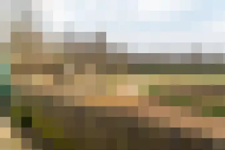 Leeuwarderstraatweg 256 Nieuwebrug thumbnail 40