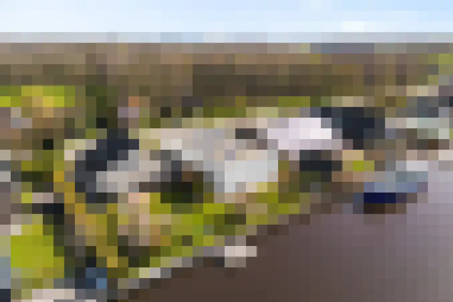 Leeuwarderstraatweg 65 Heerenveen thumbnail 7