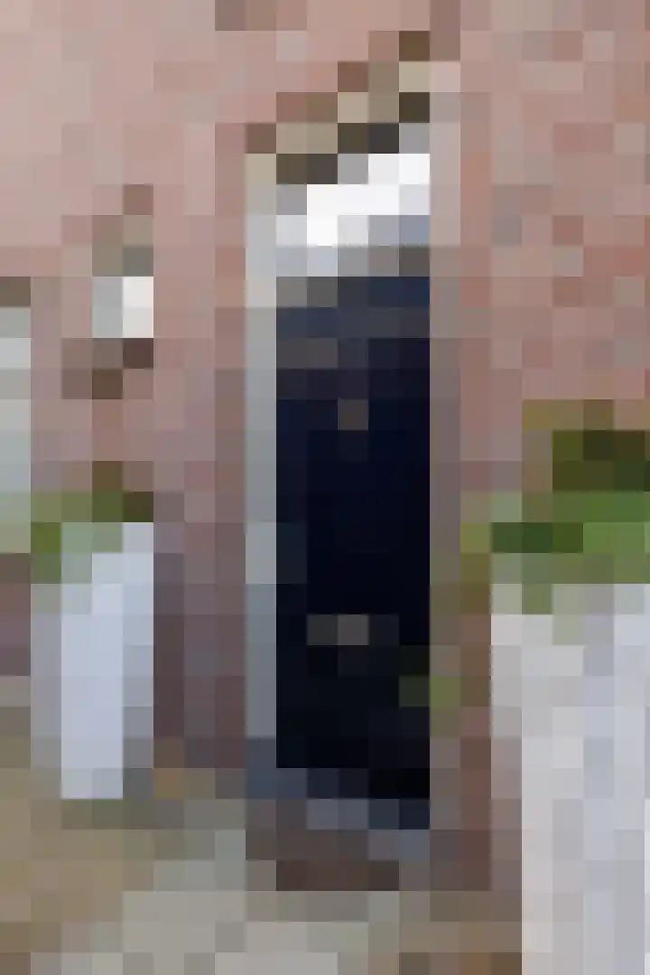Leeuwarderweg 11 Franeker thumbnail 11