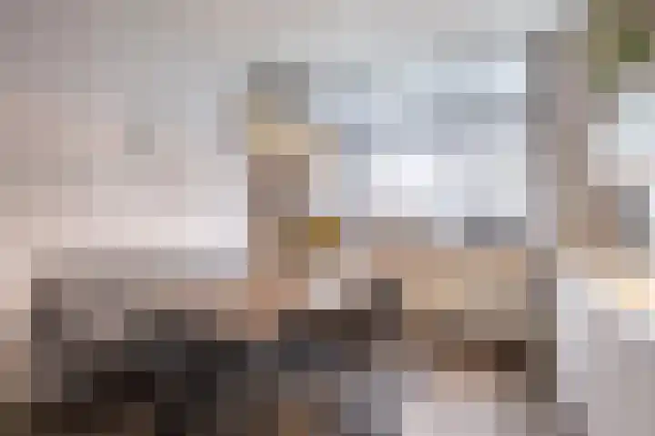 Leeuwarderweg 11 Franeker thumbnail 17