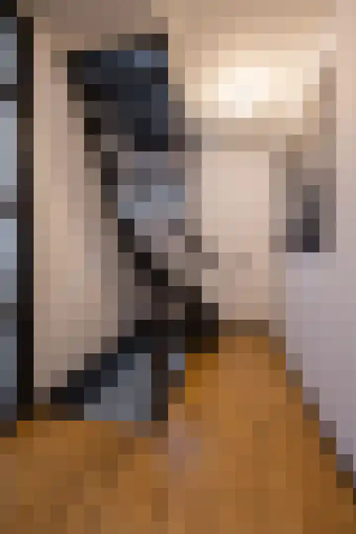 Leeuwarderweg 11 Franeker thumbnail 22