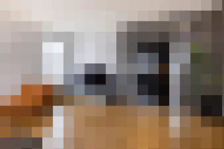 Leeuwarderweg 11 Franeker thumbnail 31