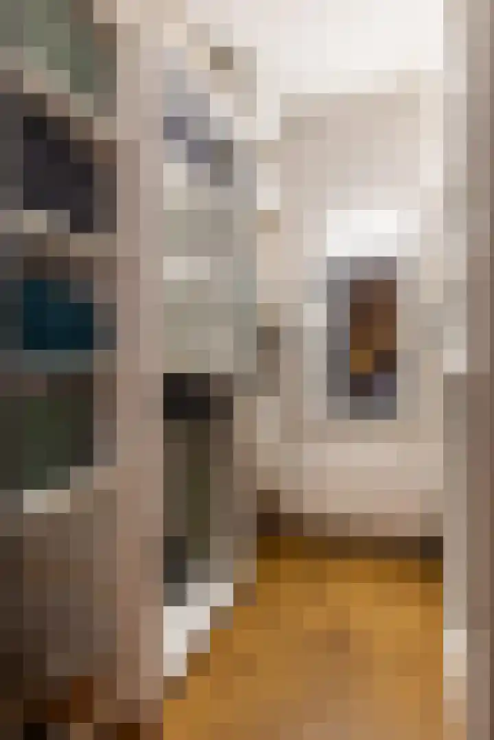 Leeuwarderweg 11 Franeker thumbnail 38