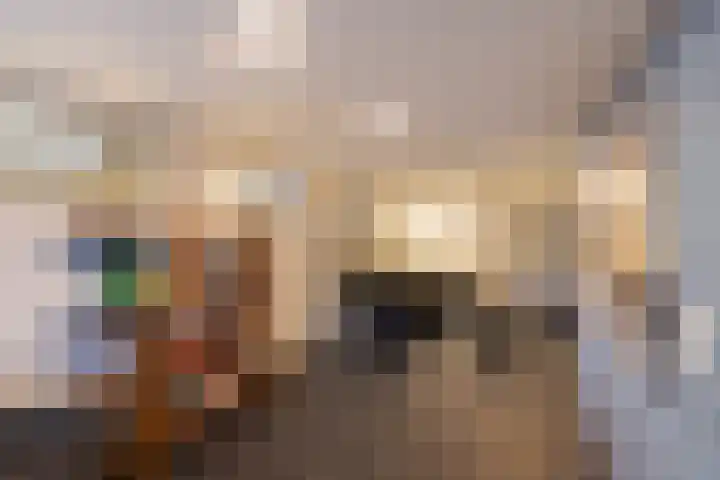 Leeuwarderweg 11 Franeker thumbnail 67