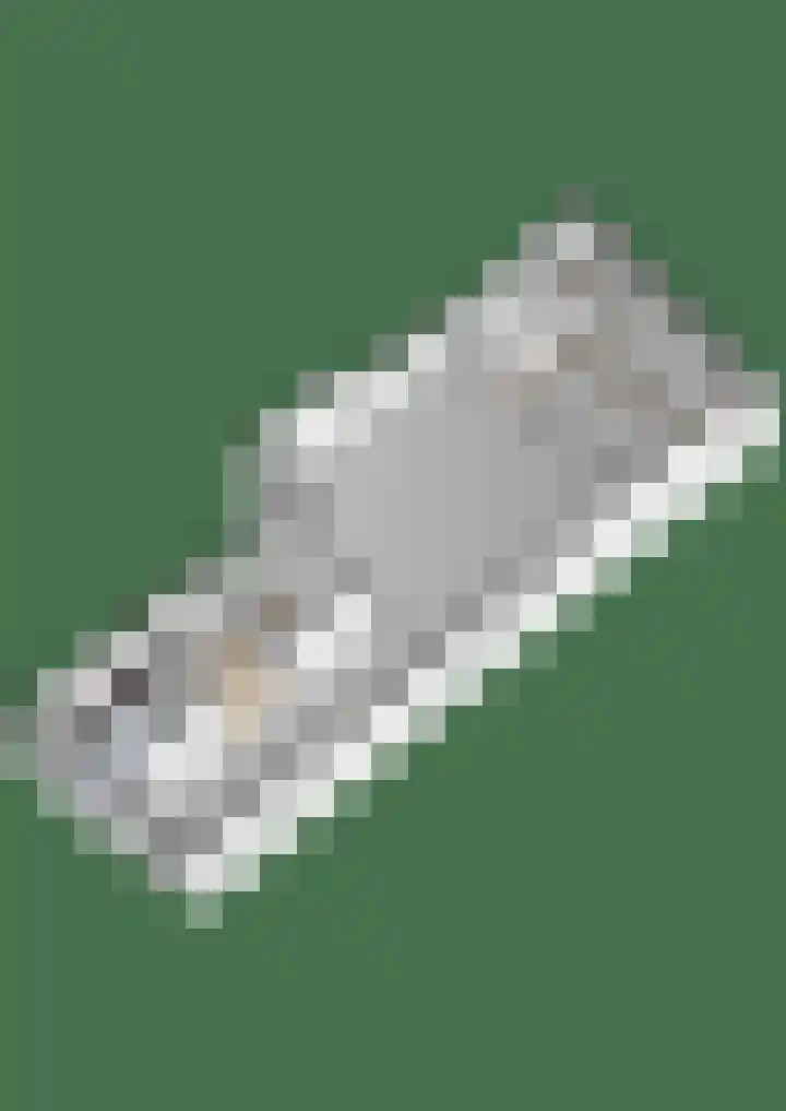 Leeuwarderweg 11 Franeker thumbnail 71