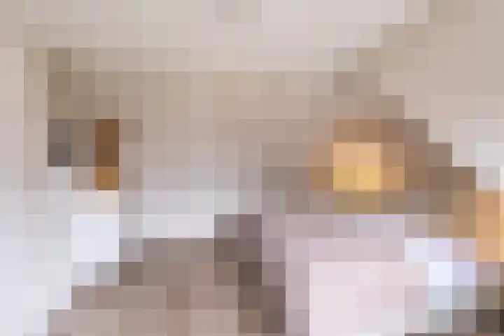 Leeuwarderweg 14 Wergea thumbnail 25