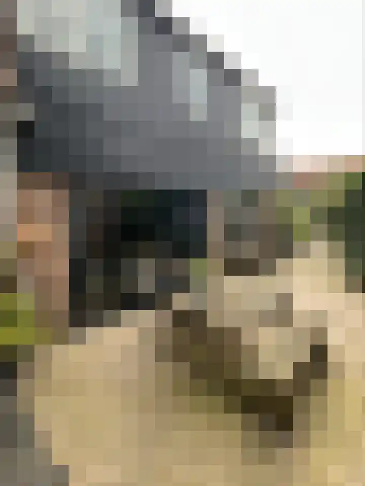 Leeuwarderweg 14 Wergea thumbnail 27