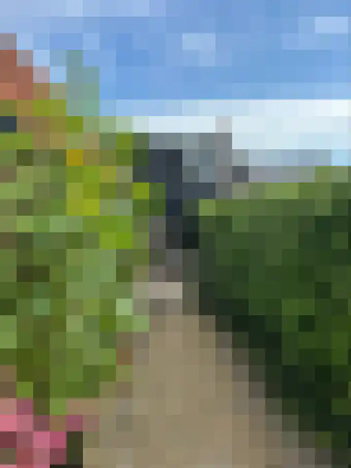Leeuwarderweg 14 Wergea thumbnail 28