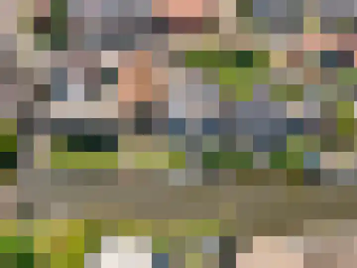 Leeuwarderweg 14 Wergea thumbnail 30
