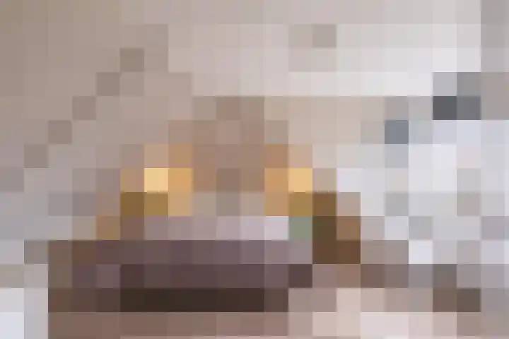 Leeuwarderweg 14 Wergea thumbnail 4