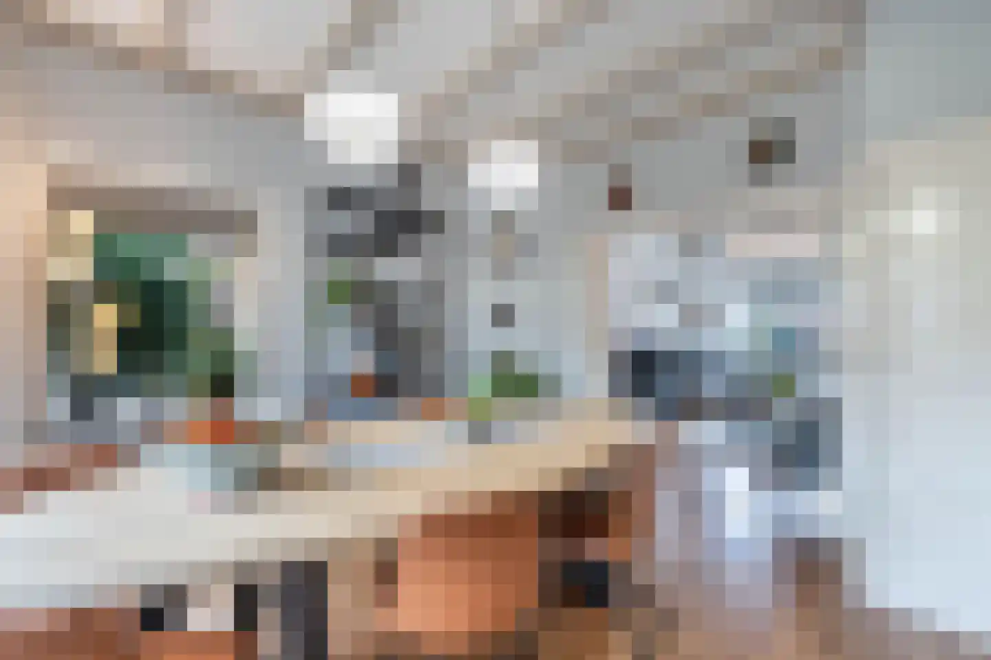 Leeuwarderweg 33 Franeker thumbnail 12