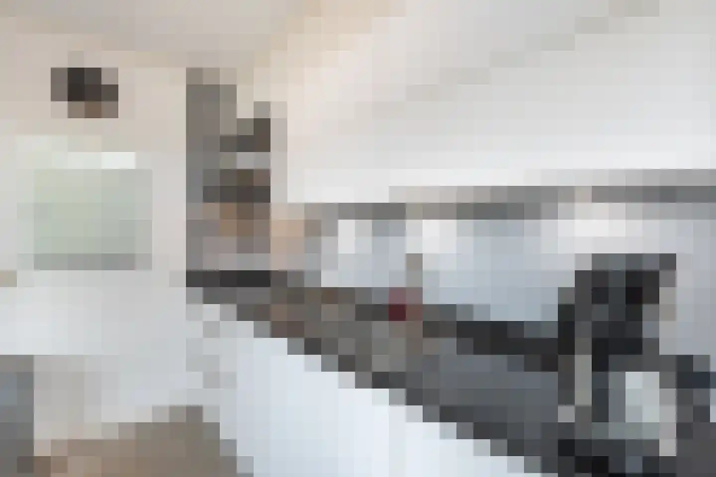 Leeuwarderweg 33 Franeker thumbnail 15