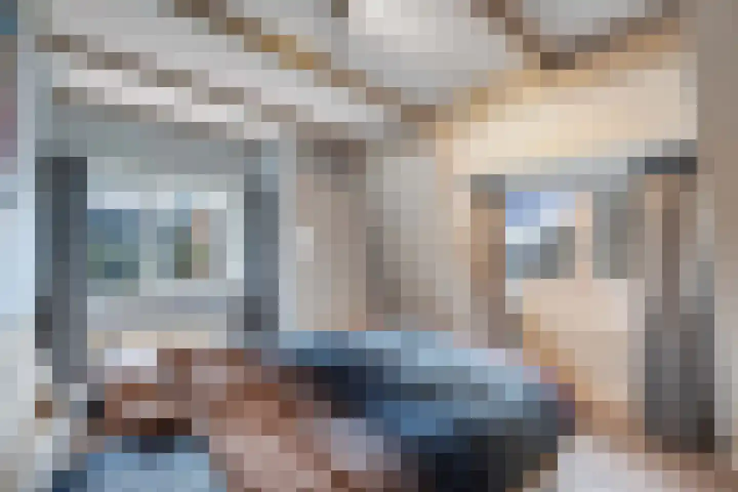 Leeuwarderweg 33 Franeker thumbnail 26