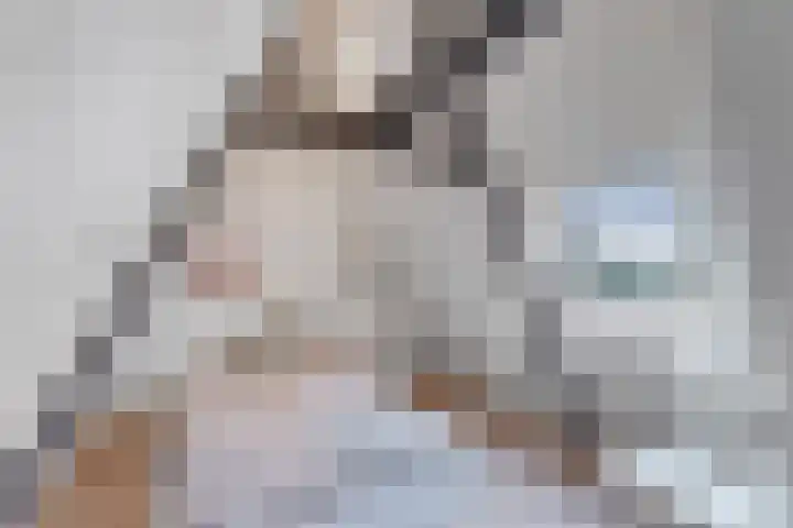 Leeuwarderweg 33 Franeker thumbnail 32