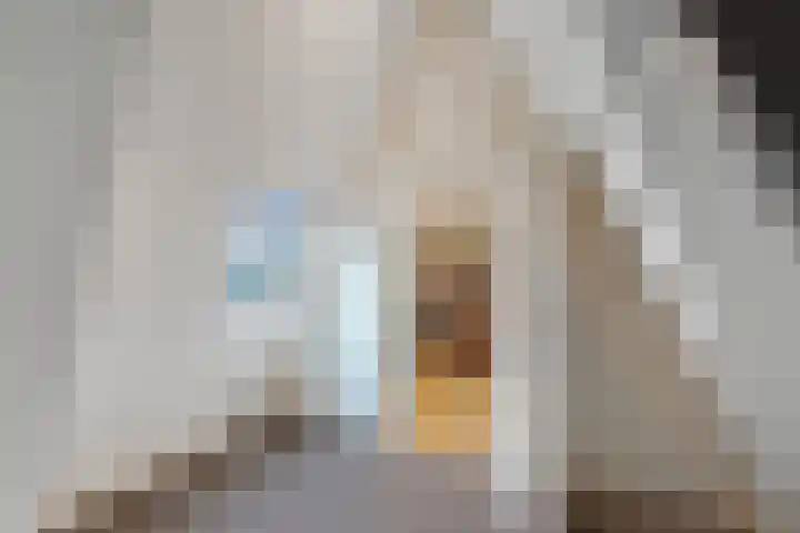 Leeuwarderweg 33 Franeker thumbnail 33