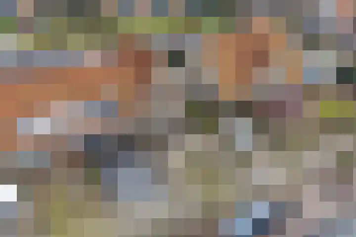 Leeuwarderweg 33 Franeker thumbnail 35
