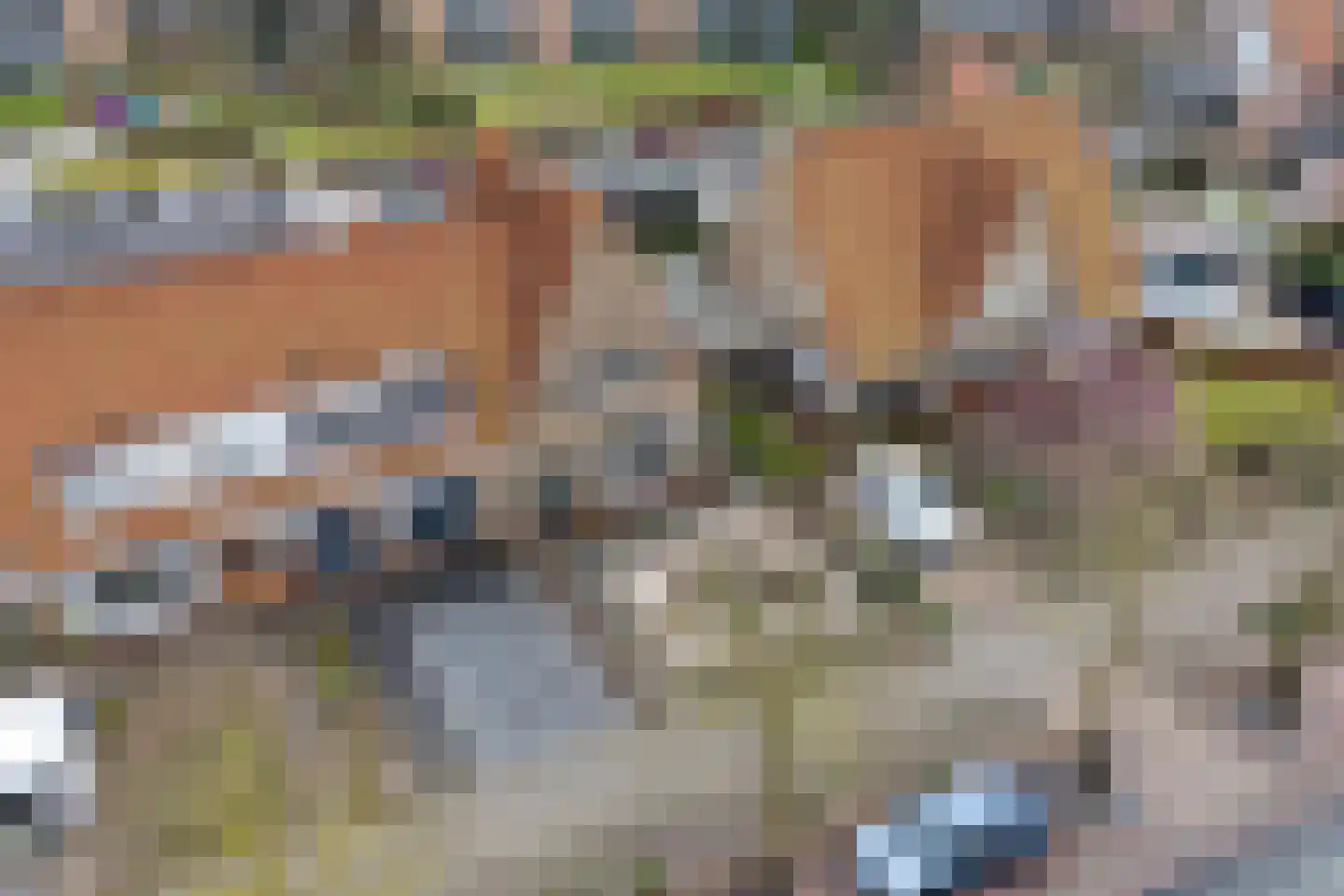Leeuwarderweg 33 Franeker thumbnail 35