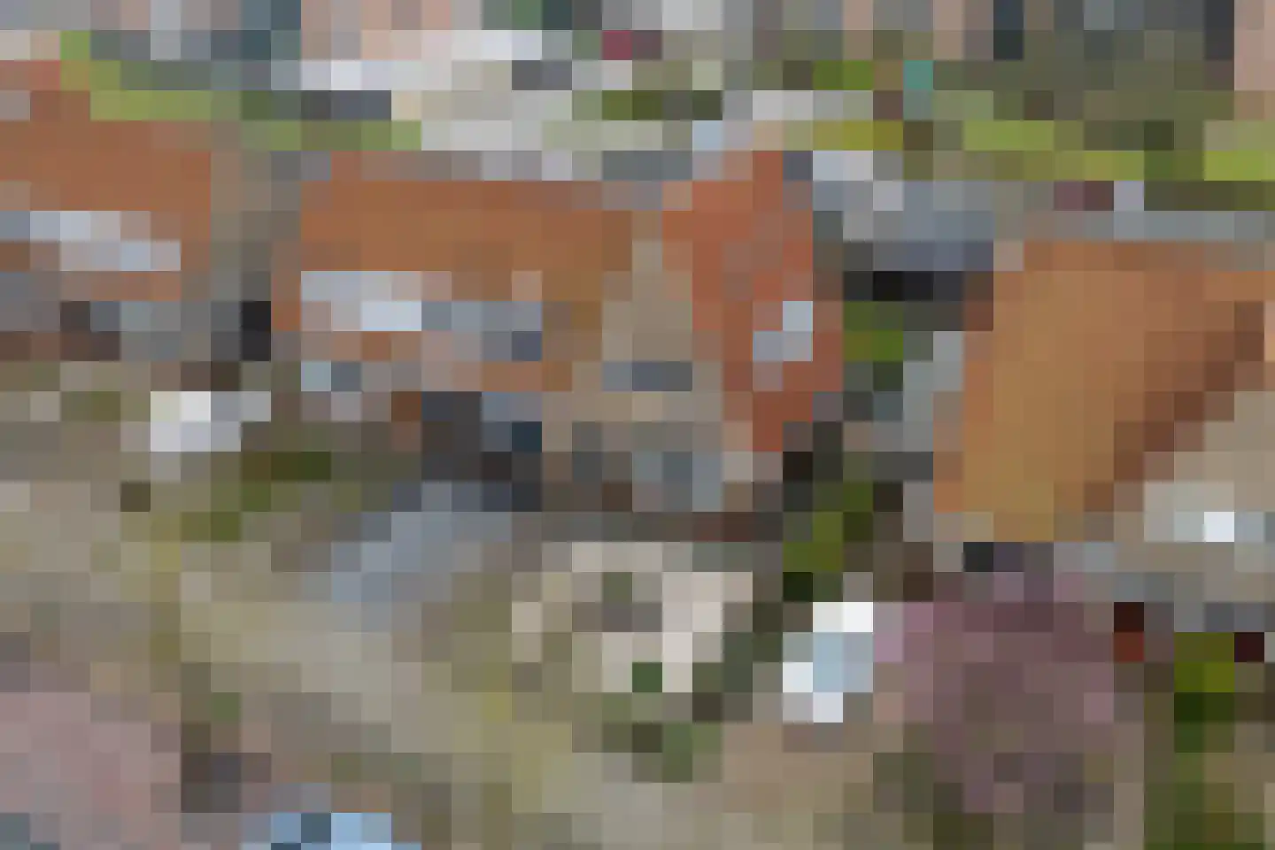 Leeuwarderweg 33 Franeker thumbnail 37