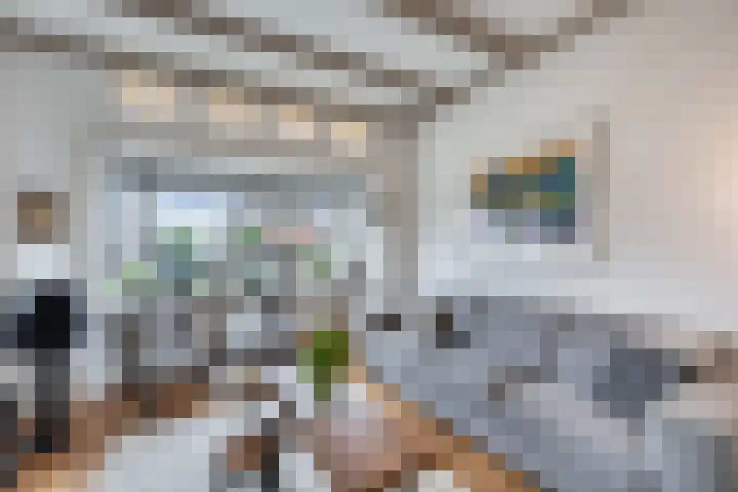 Leeuwarderweg 33 Franeker thumbnail 5