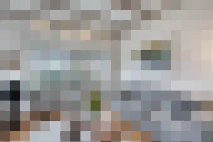 Leeuwarderweg 33 Franeker thumbnail 5
