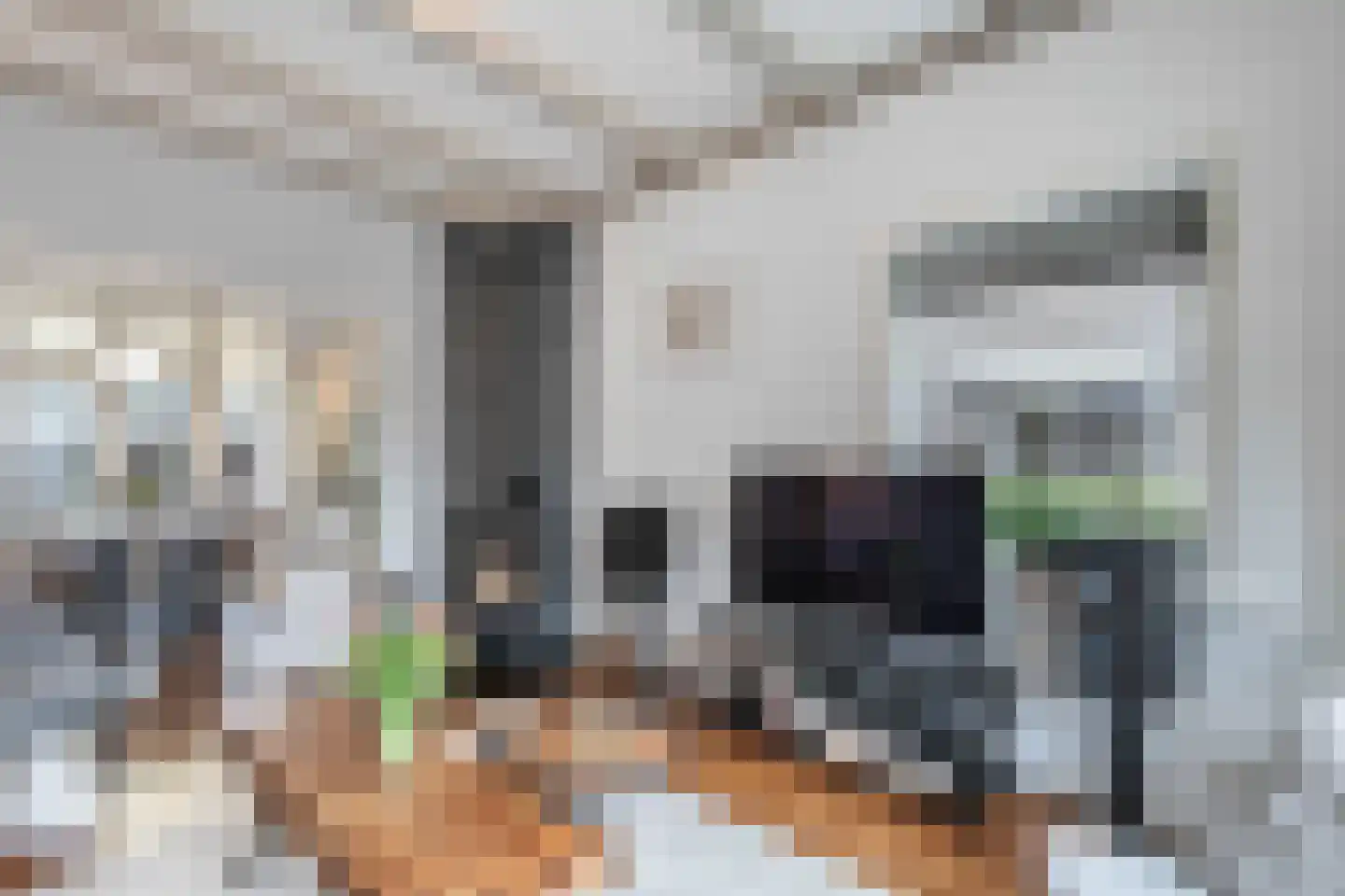 Leeuwarderweg 33 Franeker thumbnail 7