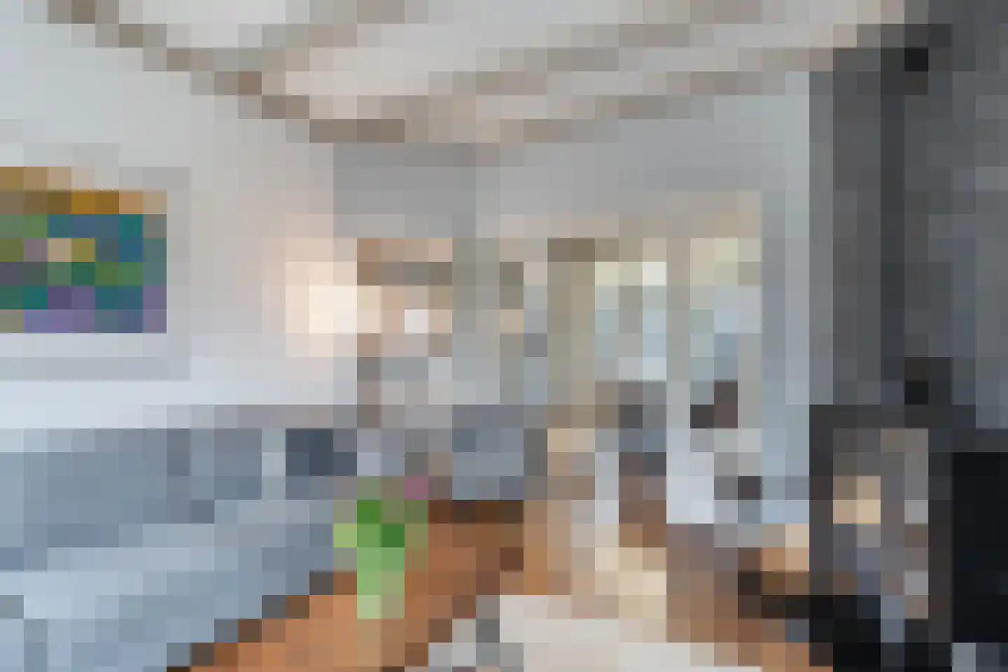 Leeuwarderweg 33 Franeker thumbnail 8