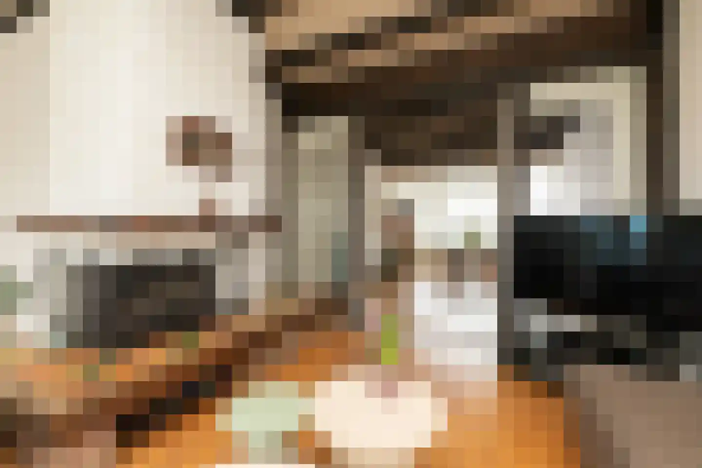 Leeuwarderweg 48 Sneek thumbnail 6