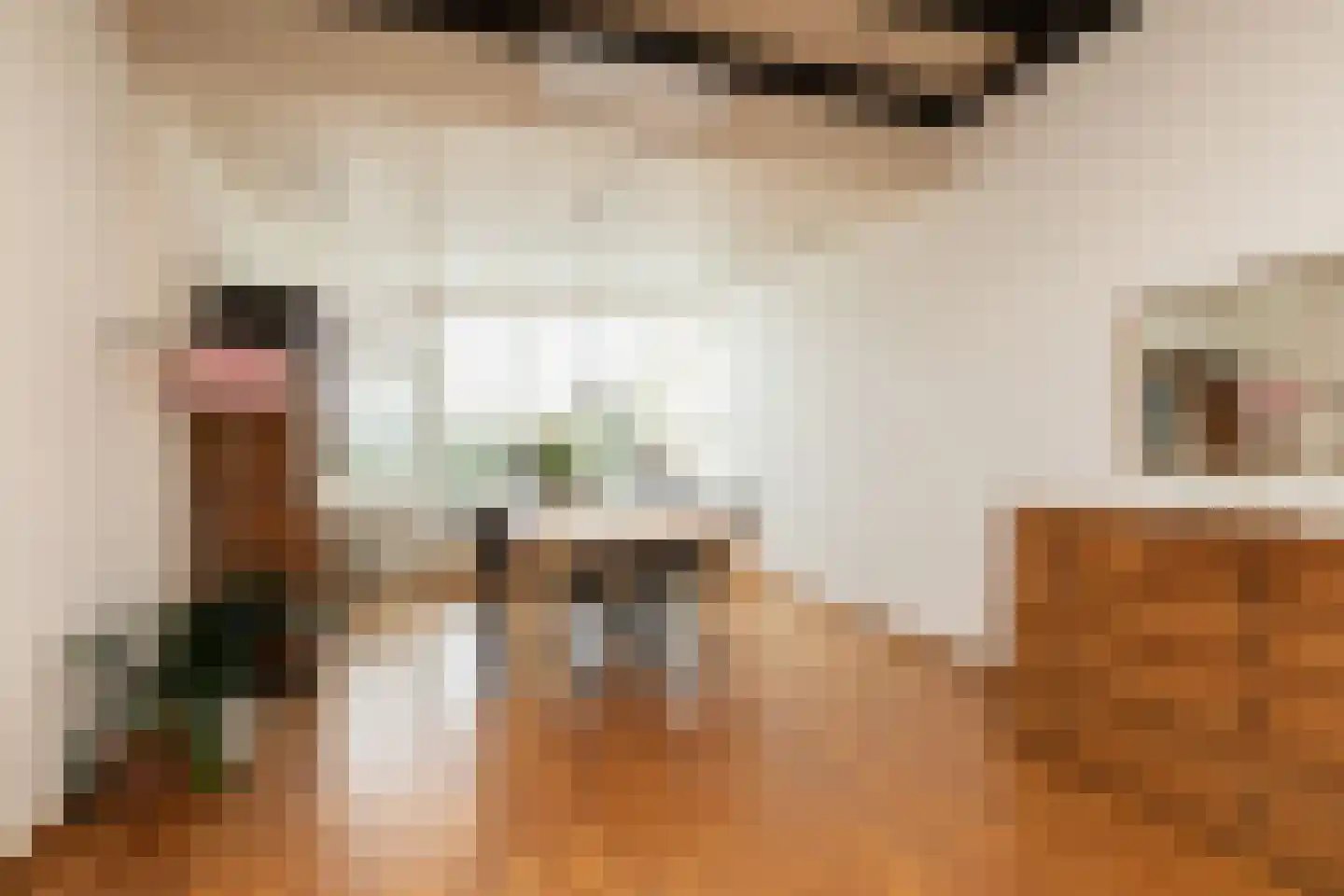 Leeuwarderweg 48 Sneek thumbnail 7