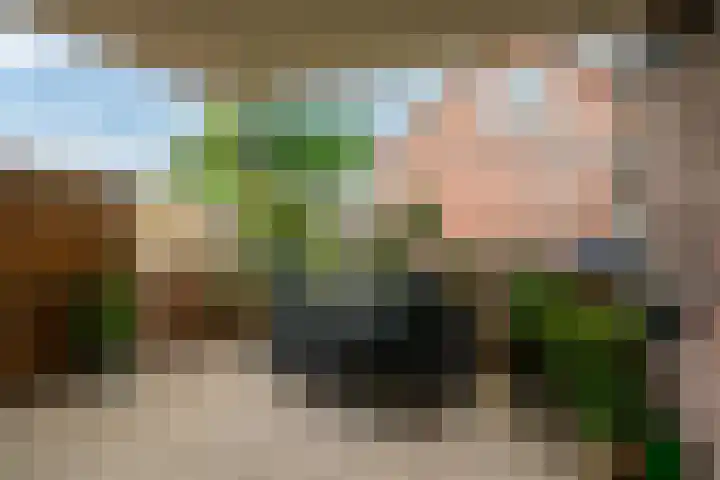 Leeuwarderweg 51 Wergea thumbnail 31