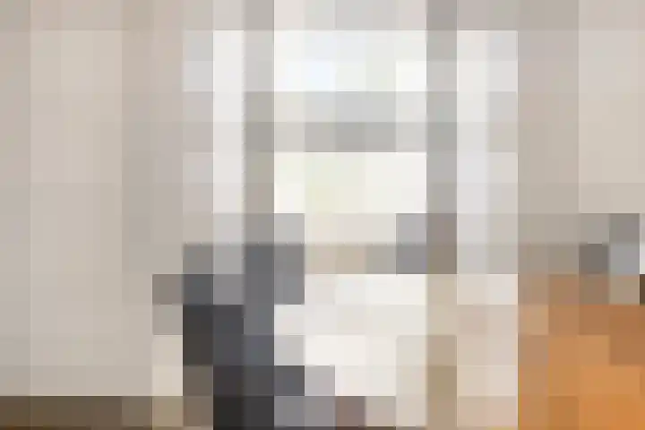 Leeuwarderweg 7 Sneek thumbnail 15