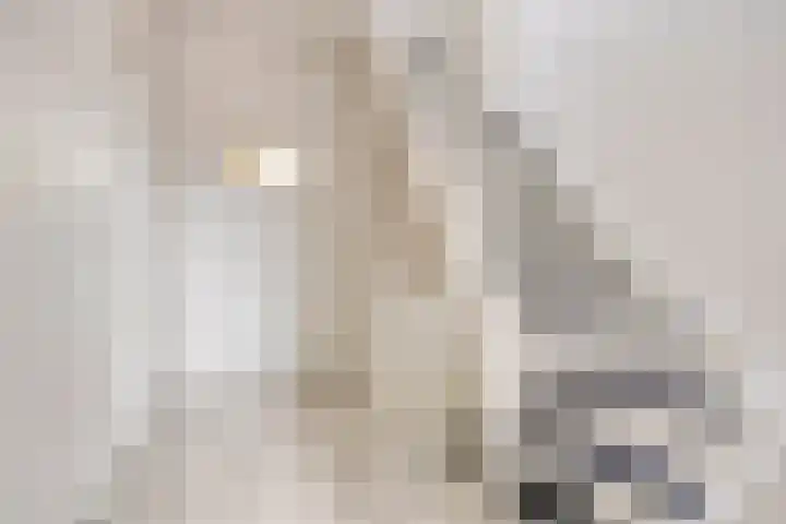 Leeuwarderweg 7 Sneek thumbnail 21