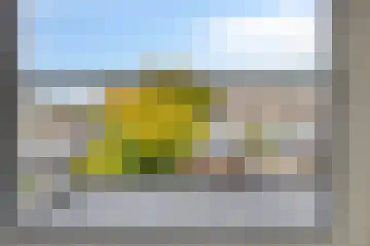 Leeuwarderweg 7 Sneek thumbnail 25