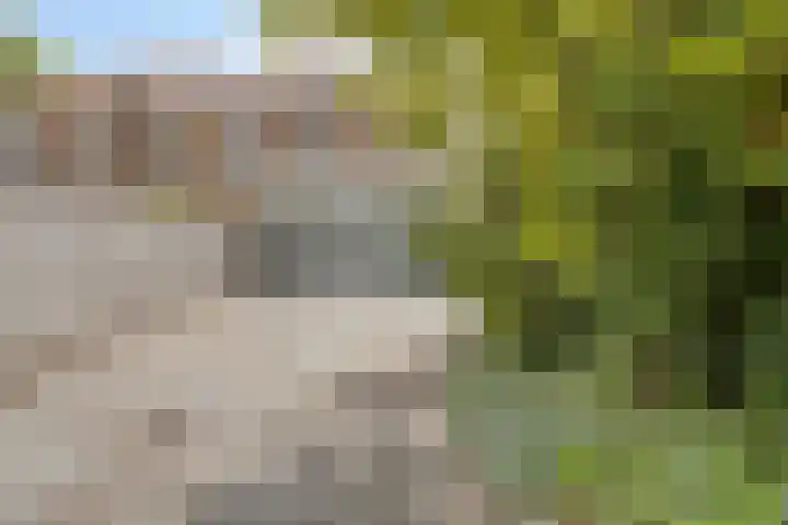 Leeuwarderweg 7 Sneek thumbnail 38