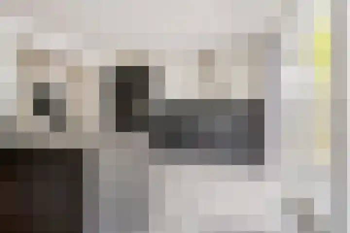 Leeuwarderweg 7 Sneek thumbnail 4