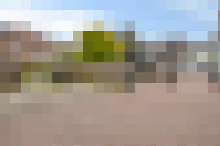 Leeuwarderweg 7 Sneek thumbnail 41