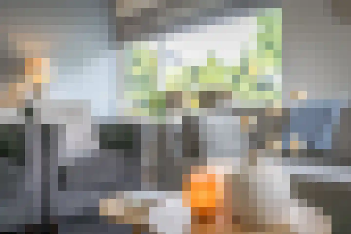 Leeuwebek 1 Haaksbergen thumbnail 11