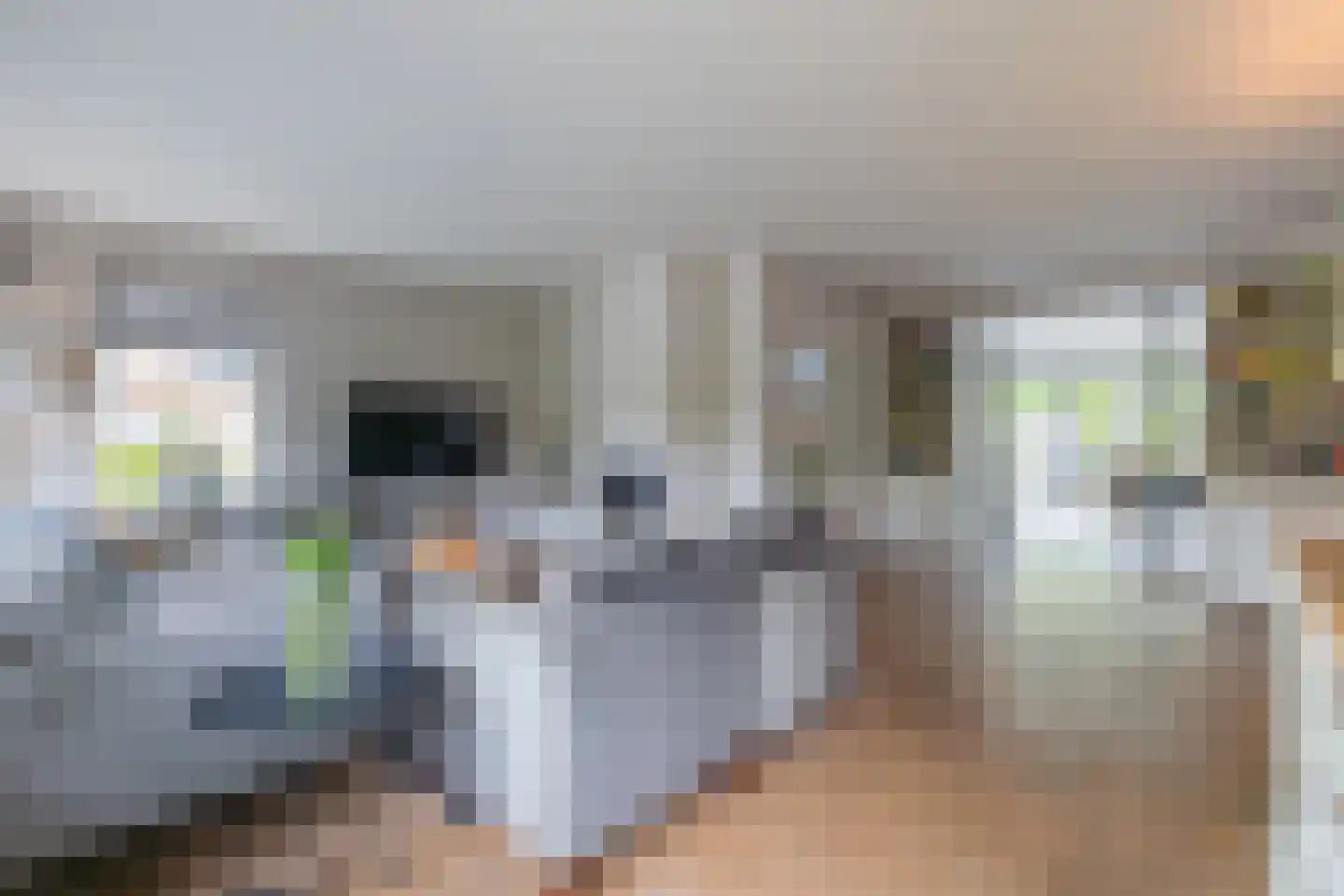 Leeuwebek 1 Haaksbergen thumbnail 12