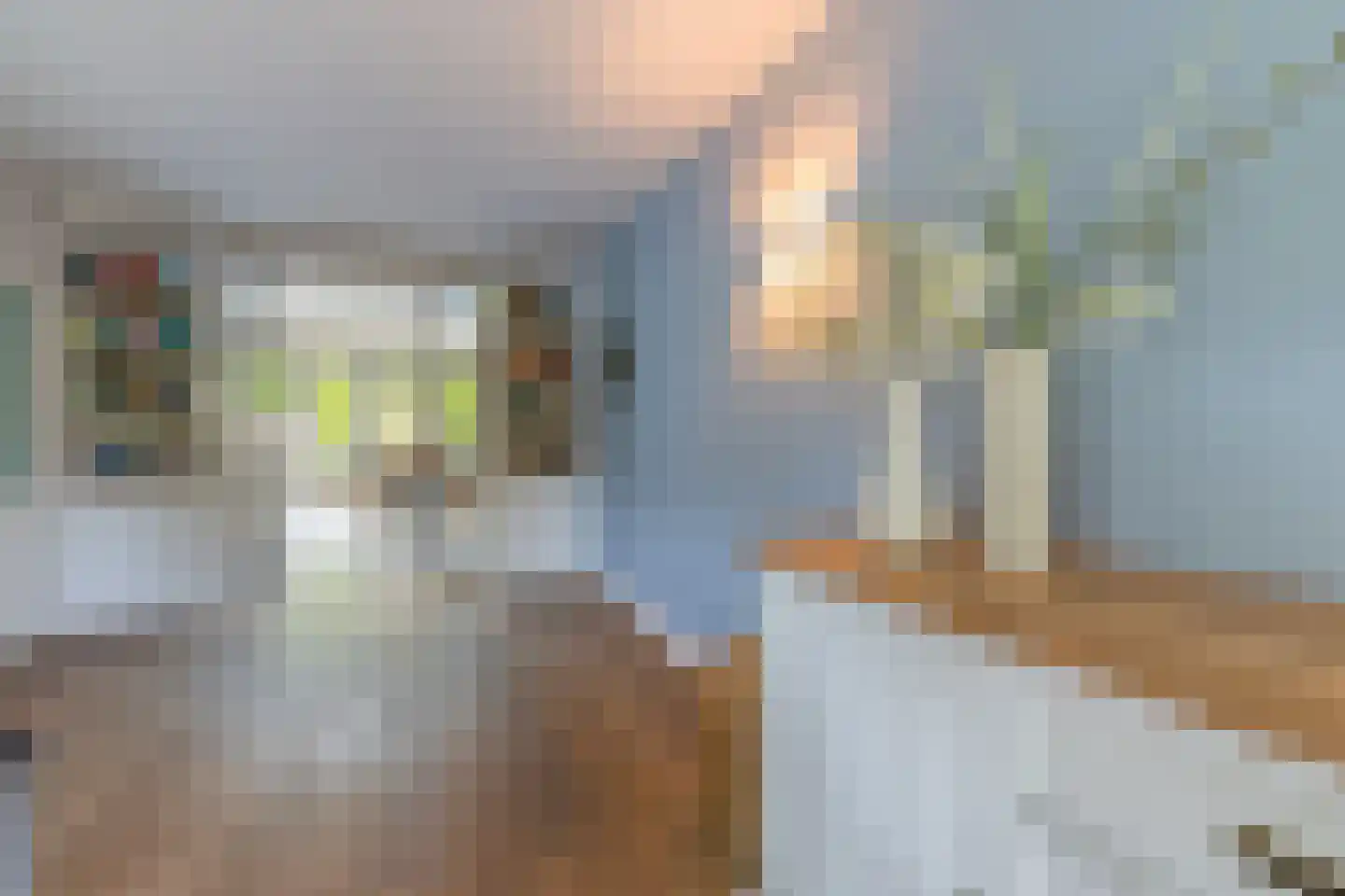 Leeuwebek 1 Haaksbergen thumbnail 14