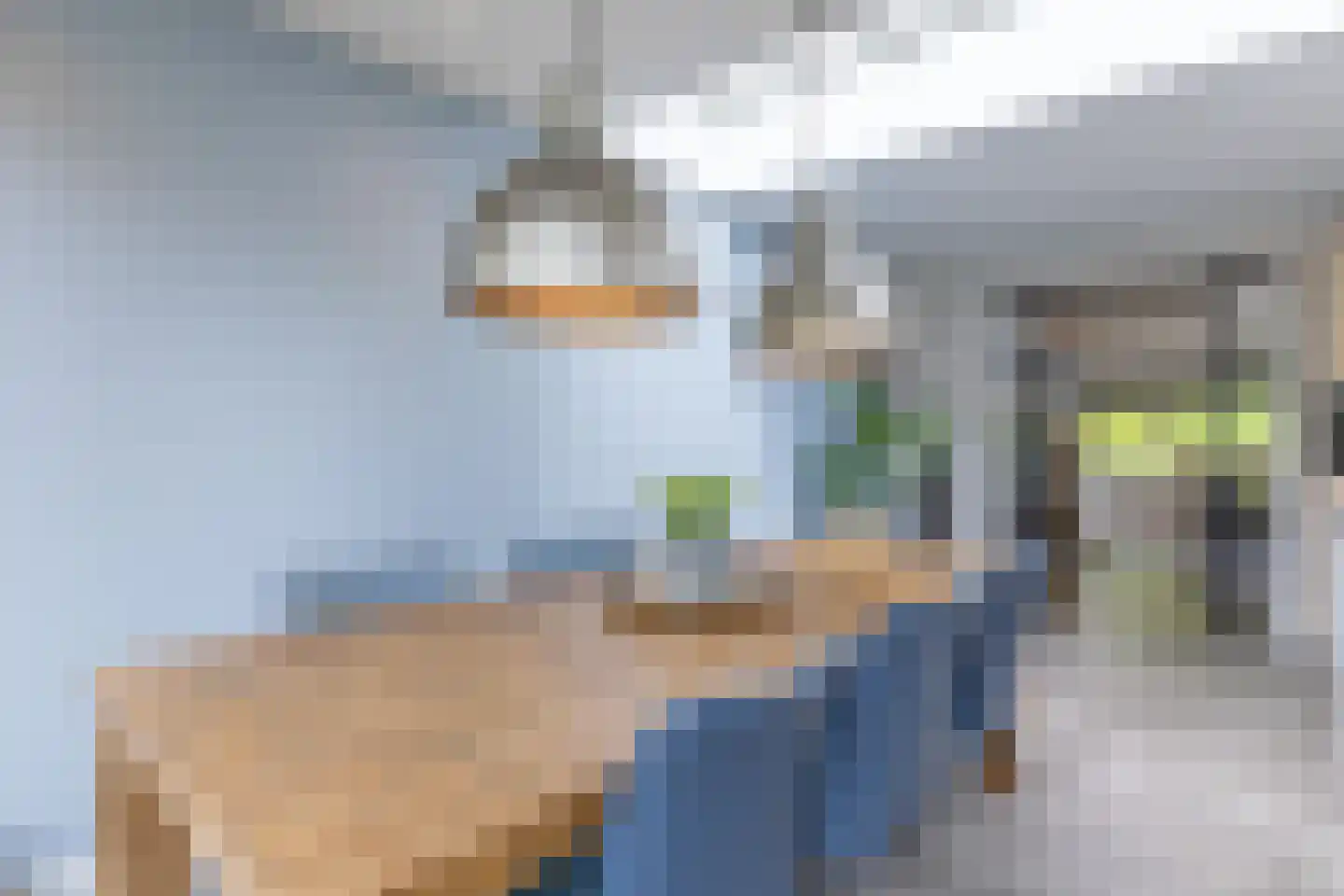 Leeuwebek 1 Haaksbergen thumbnail 17
