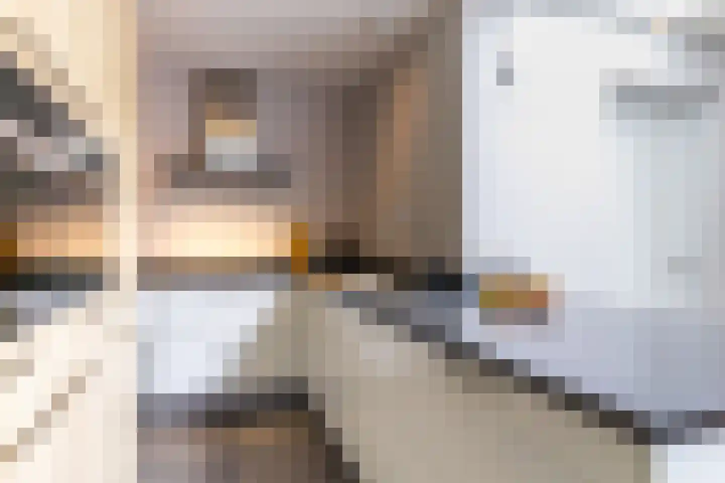Leeuwebek 1 Haaksbergen thumbnail 19
