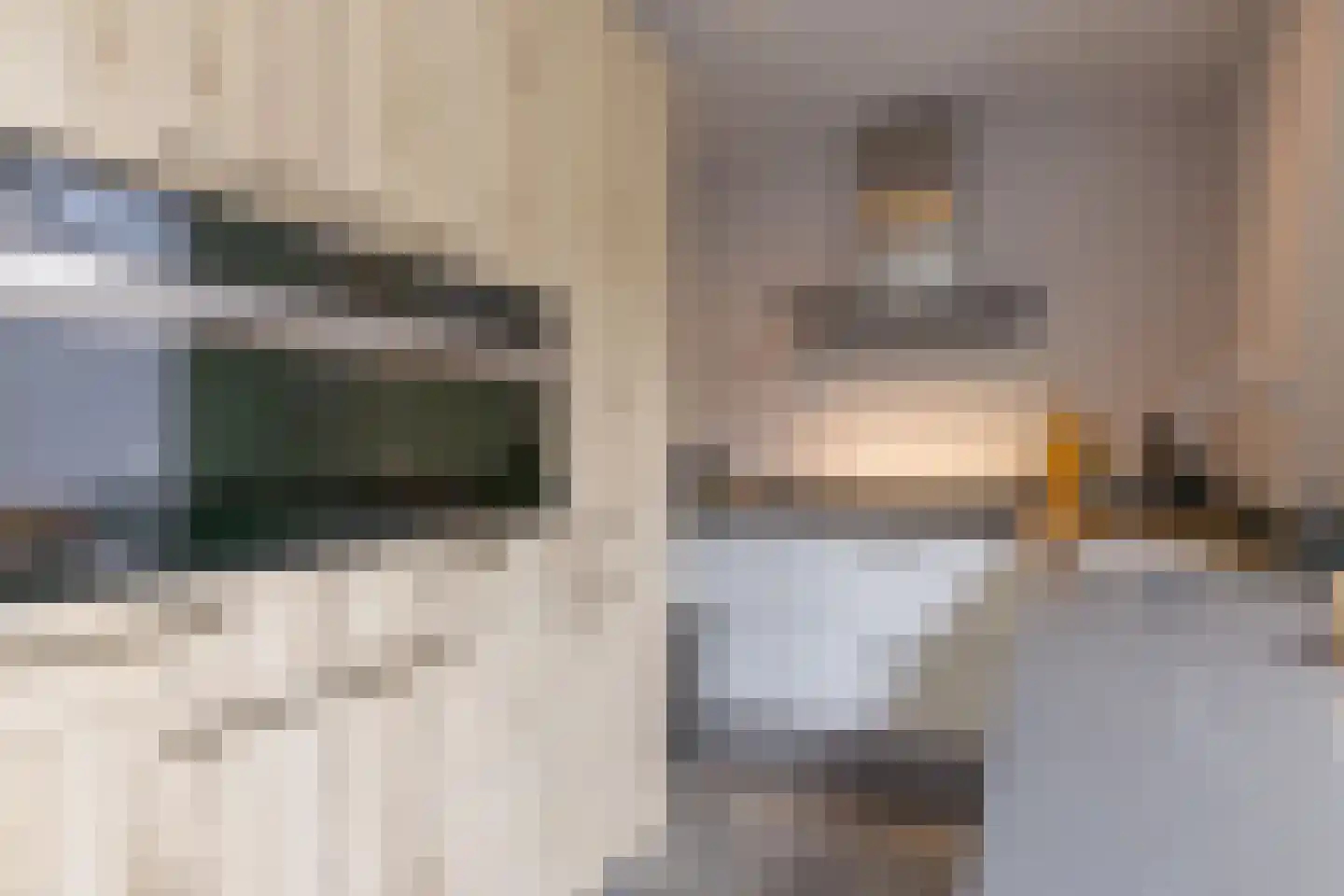 Leeuwebek 1 Haaksbergen thumbnail 20