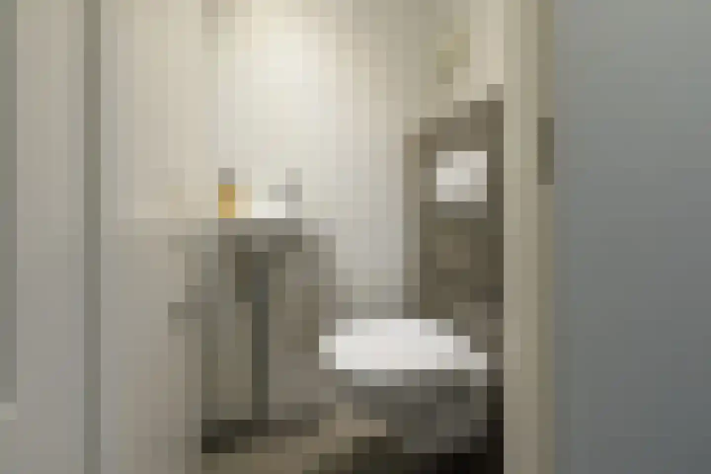 Leeuwebek 1 Haaksbergen thumbnail 25