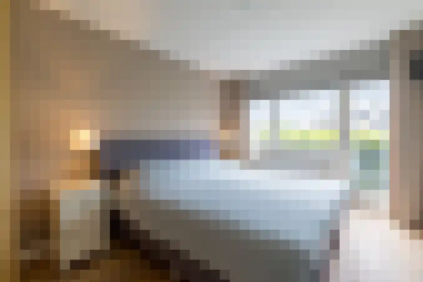Leeuwebek 1 Haaksbergen thumbnail 27