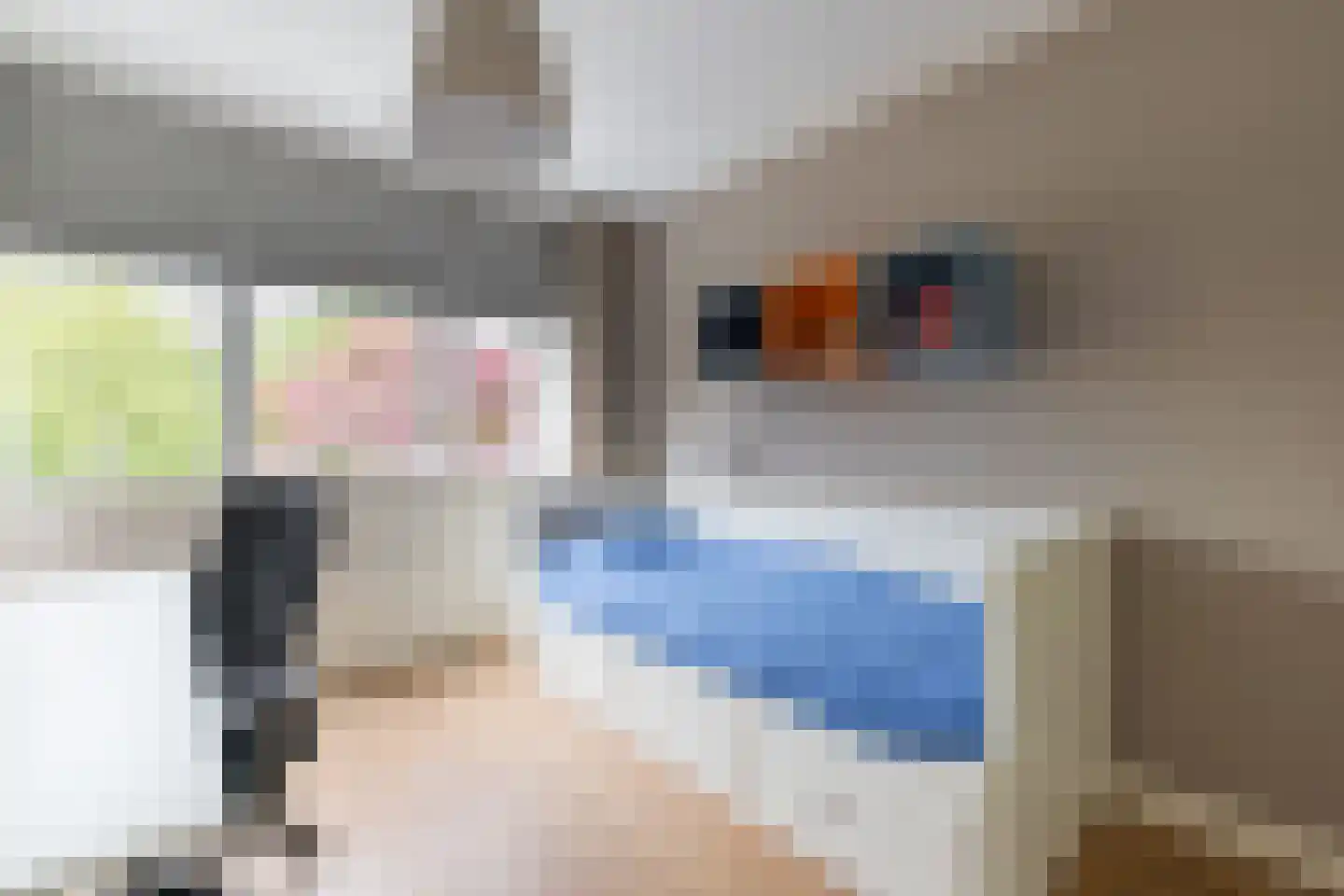 Leeuwebek 1 Haaksbergen thumbnail 29