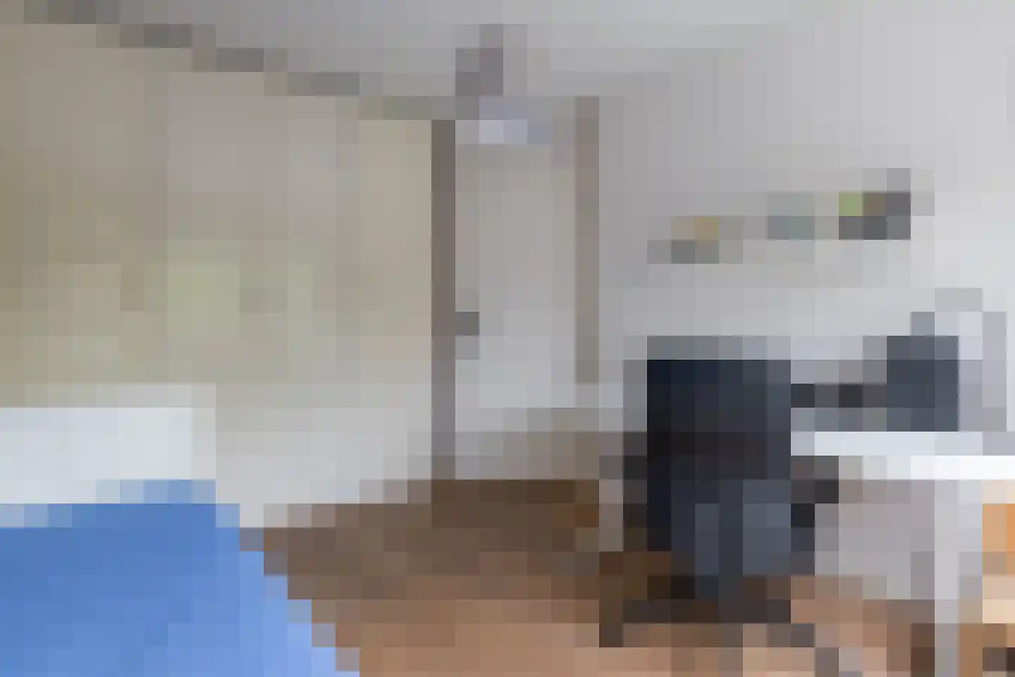 Leeuwebek 1 Haaksbergen thumbnail 31