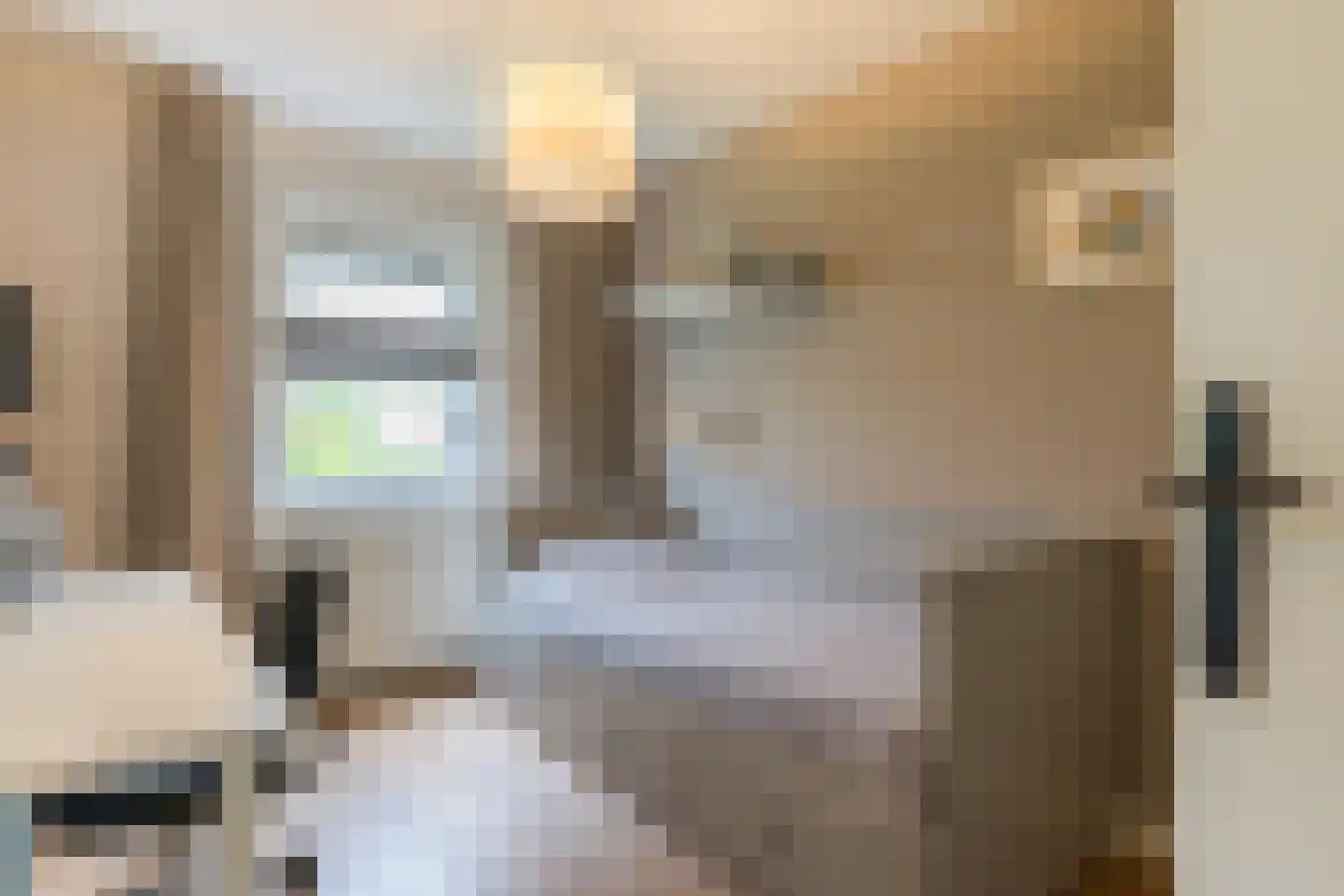 Leeuwebek 1 Haaksbergen thumbnail 32